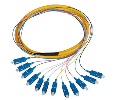 Multifiber Patch Cord & pigtail