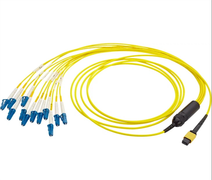 OFNR,Low Insertion Loss,3.5mm MPO Male To 12 LC Duplex 24 Fibers OS2 9/125 Singlemode patch cord